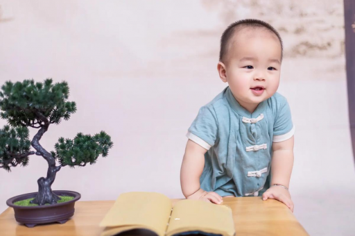 黑龙江可爱的企鹅宝宝